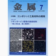 金属 2015年 07月号 [雑誌]