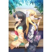 Fate/kaleid liner プリズマ☆イリヤ ツヴァイ ヘルツ! 第3巻