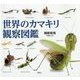 世界のカマキリ観察図鑑 [単行本]