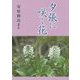 夕張に咲く花 [単行本]