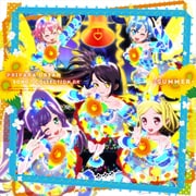 PRIPARA DREAM SONG♪COLLECTION DX ~SUMMER~