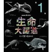 NHKスペシャル 生命大躍進 第1集 そして"目"が生まれた