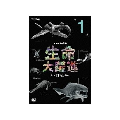70 Offアウトレット Nhkスペシャル 生命大躍進 第1集 そして 目 が生まれた