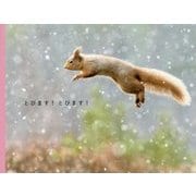 とびます!とびます! [単行本]