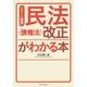 スピード解説 民法"債権法"改正がわかる本 [単行本]