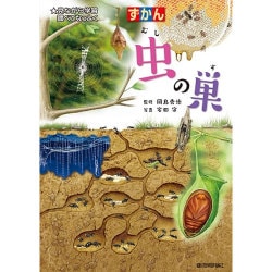 ずかん 虫の巣―見ながら学習調べてなっとく [図鑑]