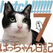 hatch!!!!!!!―はっちゃん日記〈7〉 [単行本]
