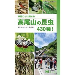 季節ごとに探せる!高尾山の昆虫430種! 2015年 09月号 [雑誌]