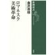 ロマネスク美術革命(新潮選書) [全集叢書]