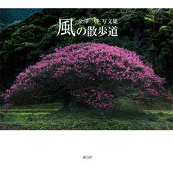 風の散歩道 [単行本]