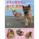 子犬のきららと捨て犬・未来―まあるい、まあるい、ふたつのシッポ [全集叢書]