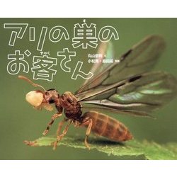 アリの巣のお客さん [絵本]