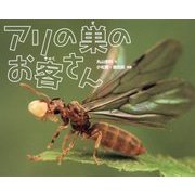 アリの巣のお客さん [絵本]