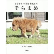 とびきり小さなお馬さん そらまめ [単行本]