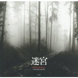 迷宮 [単行本]