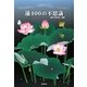 蓮100の不思議 [単行本]