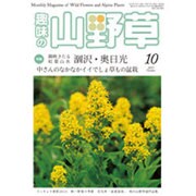趣味の山野草 2015年 10月号 [雑誌]