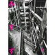 みすず 2015年 09月号 [雑誌]