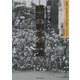 昭和のアルバム 盛岡・岩手・紫波―写真でよみがえるあの頃のふるさと [単行本]
