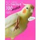 天才インコ・ばど美が教えるインコのきもち100－incolish [単行本]