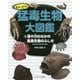気をつけろ!猛毒生物大図鑑〈2〉海や川のなかの猛毒生物のふしぎ [全集叢書]