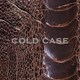 vistlip／COLD CASE