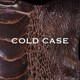 vistlip／COLD CASE