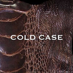 vistlip／COLD CASE