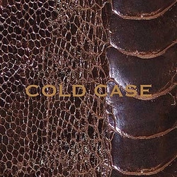 vistlip／COLD CASE