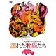濡れた牝猫たち [DVD]