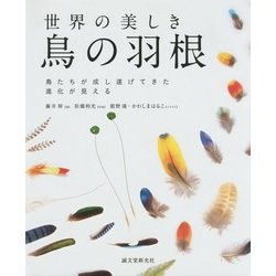世界の美しき鳥の羽根―鳥たちが成し遂げてきた進化が見える [単行本]