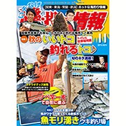 磯・投げ情報 2015年 11月号 [雑誌]