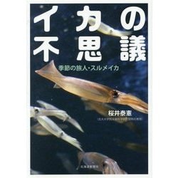 イカの不思議―季節の旅人・スルメイカ [単行本]