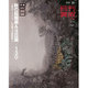 月刊 美術 2015年 10月号 [雑誌]