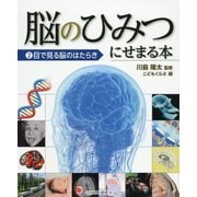 脳のひみつにせまる本〈2〉目で見る脳のはたらき [全集叢書]