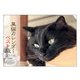黒猫カレンダー2016 ベスト版 [カレンダー]