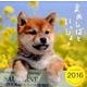 まめしばといっしょCALENDAR 2016 [カレンダー]