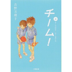 チーム!〈上〉(小学館文庫) [文庫]