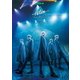 U-KISS／U-KISS JAPAN LIVE TOUR 2015～Action～ [DVD]