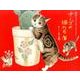 ナーゴの猫たちカレンダー 2016 [カレンダー]