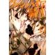 ヴァンパイア騎士 第9巻（白泉社文庫 ひ 4-9） [文庫]