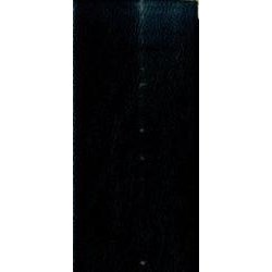 1183 ビジネスプランオリジナル(ソフト黒) 2016 [単行本]