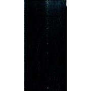 1183 ビジネスプランオリジナル(ソフト黒) 2016 [単行本]