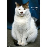 ねこ手帳 2016 [ムックその他]