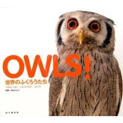 ヨドバシ Com Owls 世界のふくろうたち 16 カレンダー Yama Kei Calendar 単行本 通販 全品無料配達