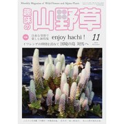 趣味の山野草 2015年 11月号 [雑誌]