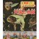 天国と地獄―死後の世界と北方ルネサンス(美術っておもしろい!〈3〉) [全集叢書]