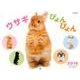 ウサギぴょんぴょん 2016[カレンダー]（Yama-Kei Calendar） [単行本]