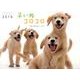 子いぬコロコロ 2016[カレンダー]（Yama-Kei Calendar） [単行本]