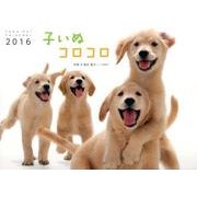 子いぬコロコロ 2016[カレンダー]（Yama-Kei Calendar） [単行本]